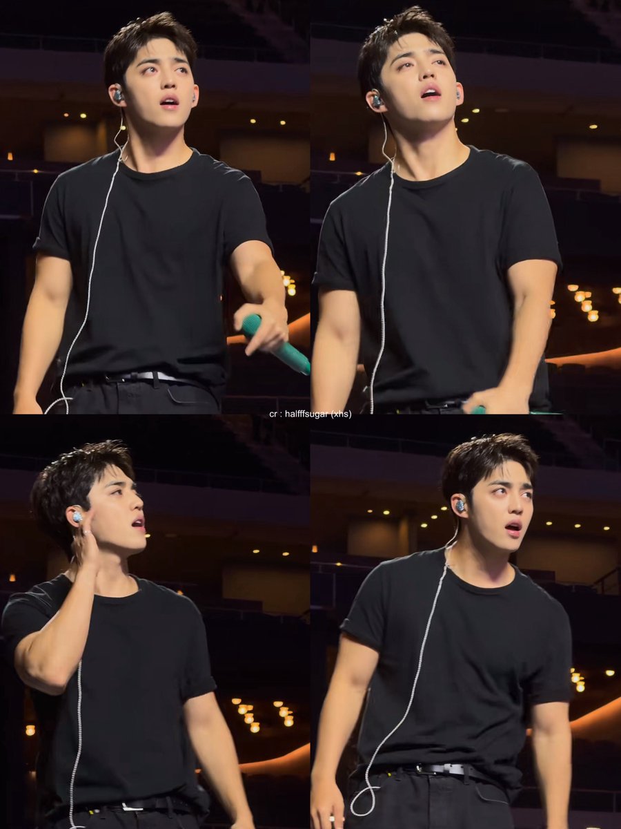 seungcheol the fine man that u are