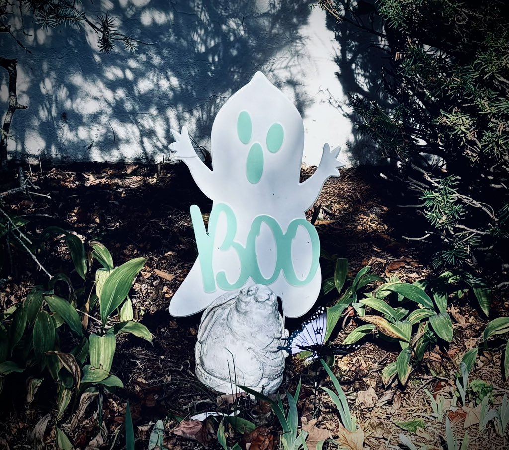 My Boo, bunny, butterfly ensemble ~ for Halloween 👻 🐇 🦋   <a href="/ItsmeTheBooboo1/">🐾 It's mees.....der Booboo 😻</a>