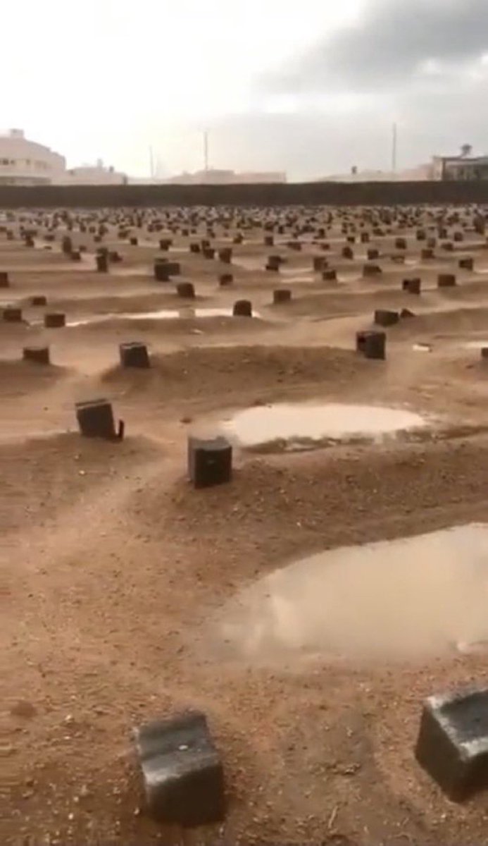 اللّهُمّ اجعل موتانا وموتا المسلمين من الذين يساقون إلى الجنّة زُمرا 🤲