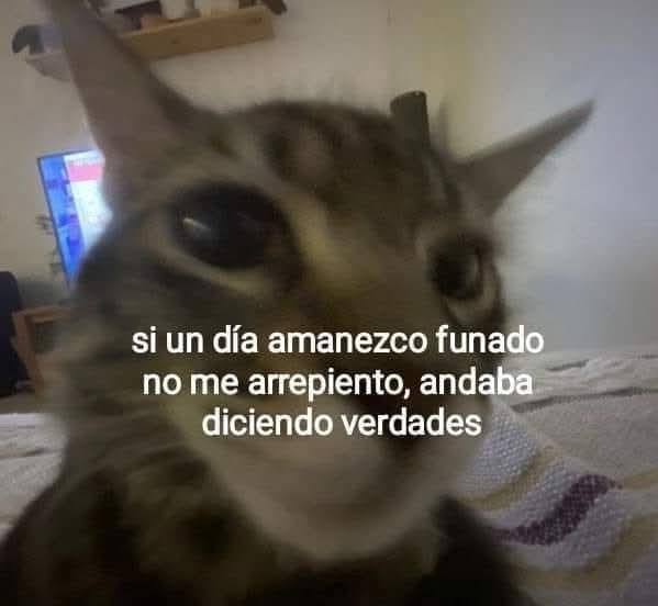 Animalesaprieto's tweet image. 