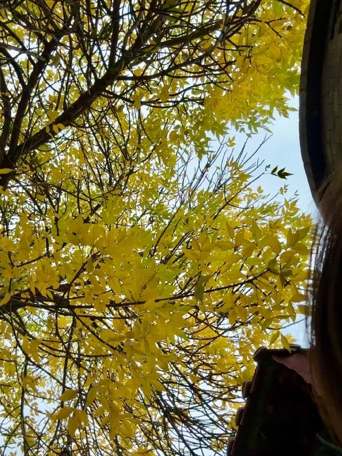 SeutterO23sha's tweet image. おはよう🌅
どんな日でも、自分の選択で未来は変えられる。
今日も一緒に前向きに生きよう😊
8️⃣