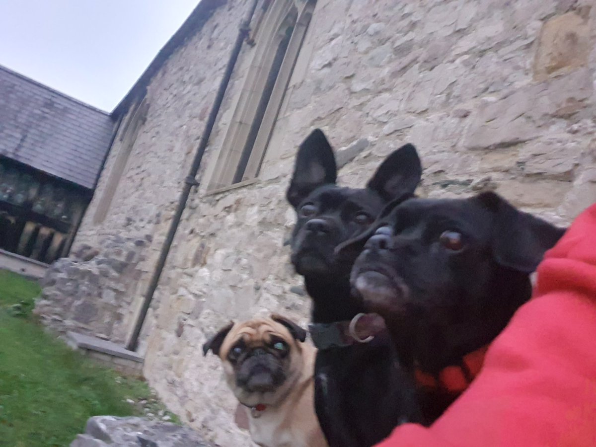 Amy # Catfighter ..# Warrior ..# boxer 🤘🦊💋 tweet media