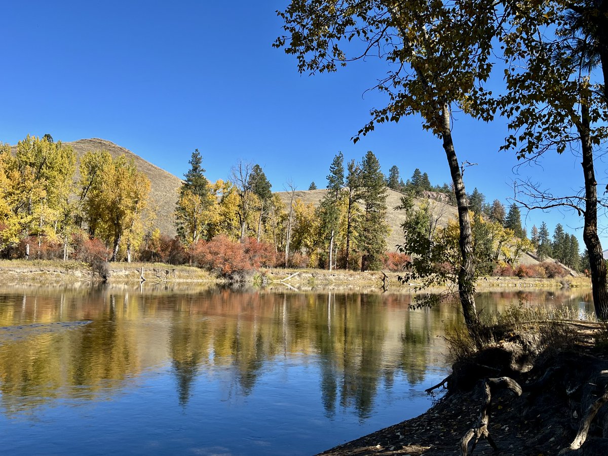 sallymauk's tweet photo. October in Montana.
#fallglory https://t.co/xiw2G18TqN