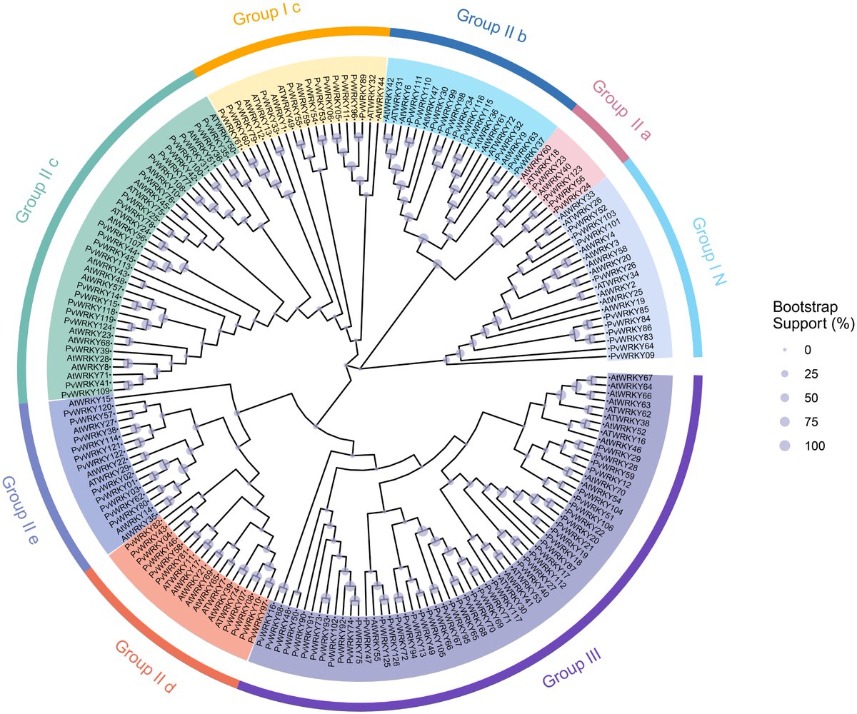 #GrassResearch #WRKY  #Genes #SaltTolerance
#SeashorePaspalum: 126 PvWRKY genes identified; tissue-specific ones like PvWRKY105/84 boost salt tolerance via hormone and MAPK signaling pathways.🔬
<a href="/MaximumAcademic/">Maximum Academic</a> <a href="/AbioticStress/">Abiotic stress in plants (Green Survivors)</a>
Details: maxapress.com/article/doi/10…