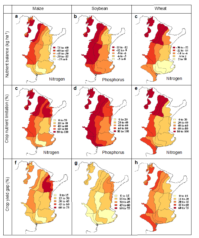 La degradación del suelo debida a un manejo insuficiente de nutrientes reduce anualmente la producción de granos en 41 millones de toneladas y las ganancias de los agricultores en 6.300 millones de dólares, además de provocar una fuerte pérdida de carbono y nutrientes del suelo