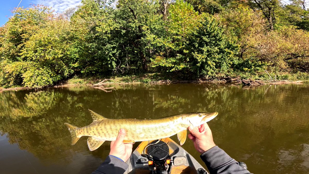 Average Dad Fishing tweet media