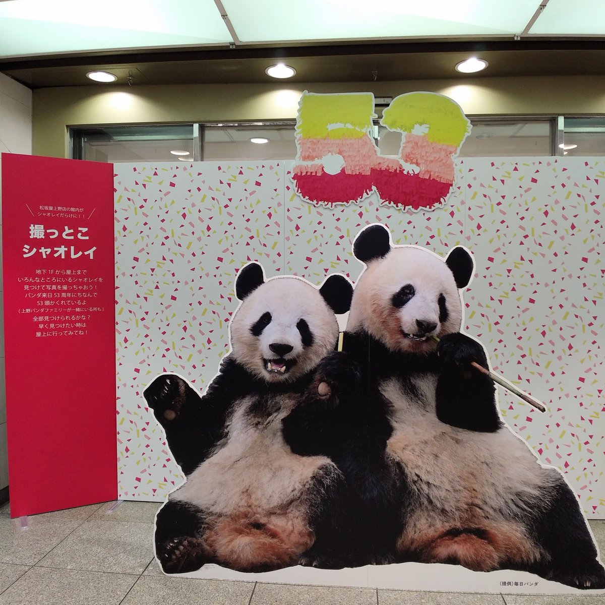 テディベア作家 パンダ 181484470_o1.jpg?