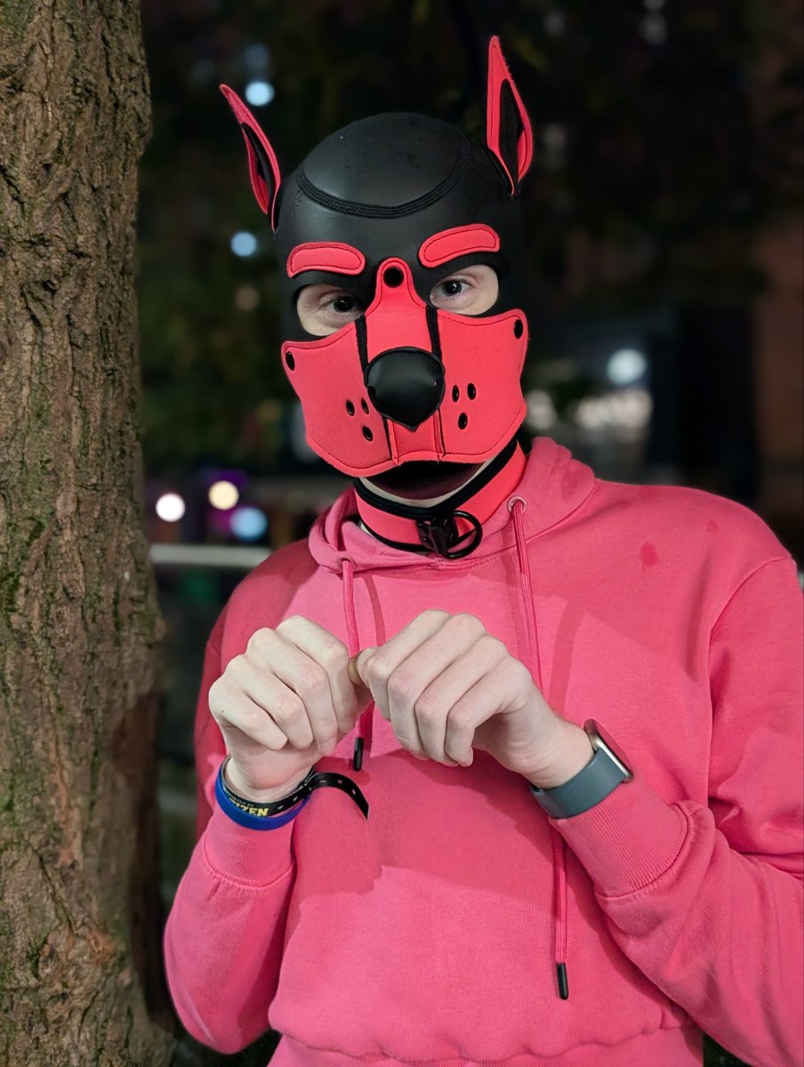 Forgot to make a post DW post

I really enjoyed it and it was amazing to meet all the puppies.

Hopefully i can meet much more next year