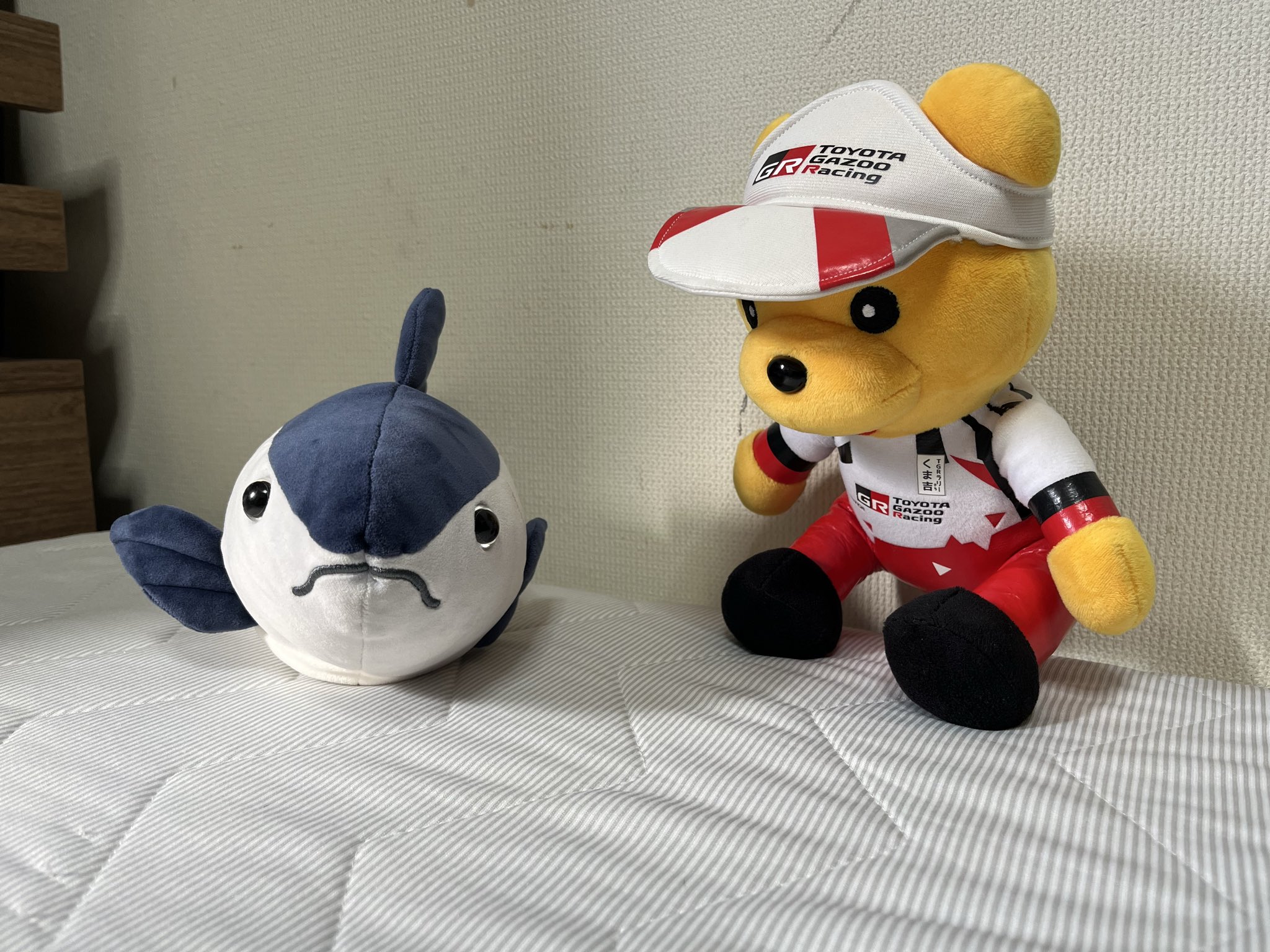 くま♪(๑ᴖ◡ᴖ๑)♪ページ BBまどーし (@bb_madoshi) / Posts / X