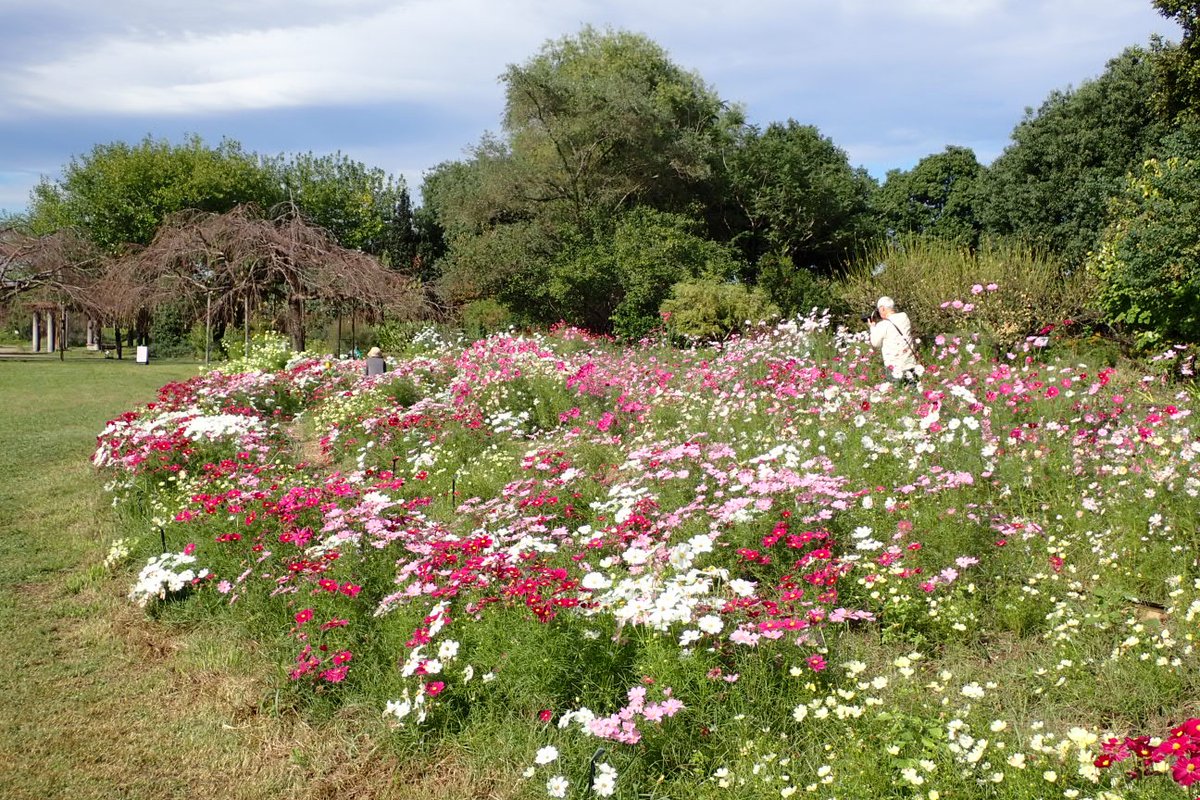 国土交通省 木曽川上流河川事務所 on X