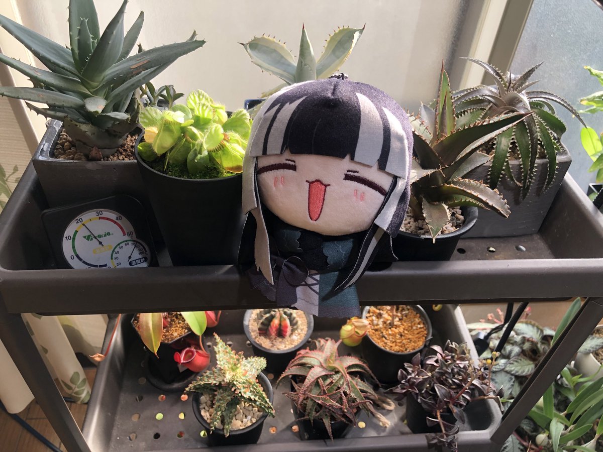 さて、今日頑張れば連休だー⭐️
と言っても金土日か…。
平日休みの方が好きなんだよな、どこ行っても空いてるからさー^_^