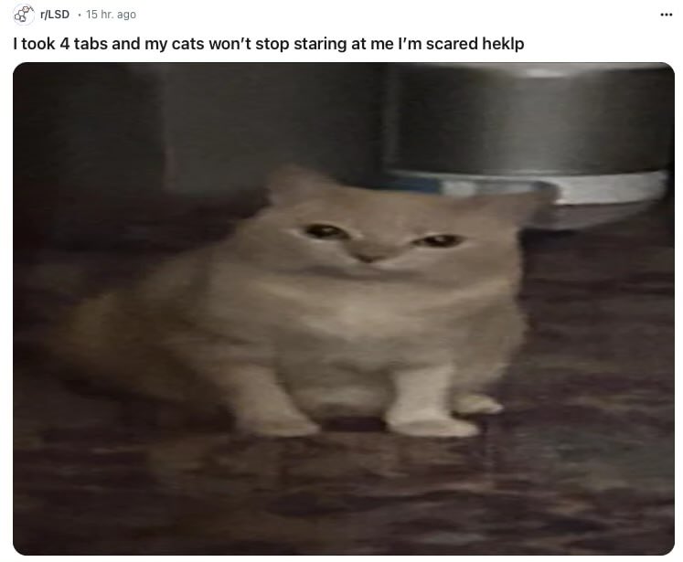 丰 Nightgrowler 丰 🇺🇦 Лесь Нічнорик (@nlghtgrowler) on Twitter photo 