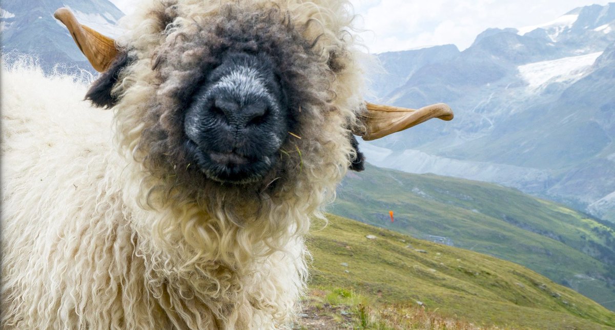 karenchau_x's tweet image. I love these fun little surprises on my external monitor 😆
#windowsspotlight