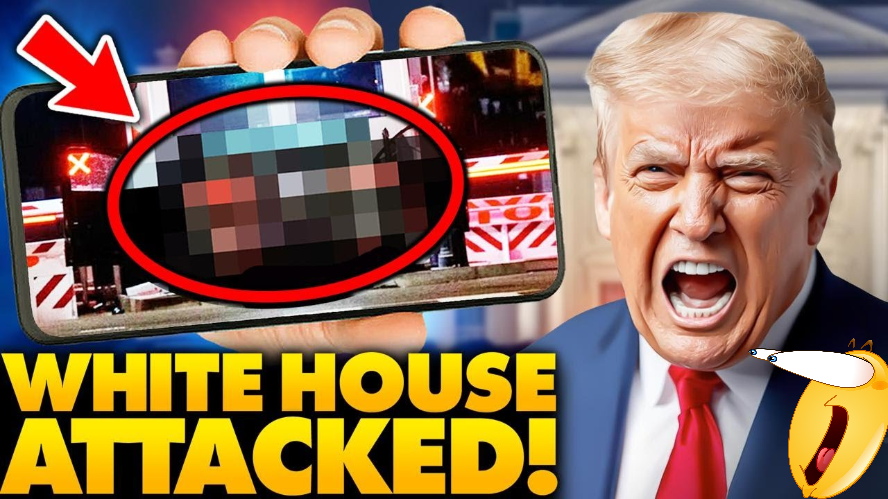 🇺🇸MAGA WEDNESDAY TRAIN🇺🇸👉RT/FOLLOW ALL✅
<a href="/political_rock/">Political Rock</a>
<a href="/Tinylilmandingo/">Danny Weeks 🇺🇸 (Ascension Arc)</a>
<a href="/LouisCuneo1/">MagaVeteran1969</a>
<a href="/Redneck8296/">PuertoRicanRedneck🇺🇸🇵🇷</a> 
@Mvd6919
<a href="/BillMe68pt2/">missykay</a>
@Parodynickadams
<a href="/DRTasCanB/">The Dirty Truth ™</a> 
@AmyGuinnipMusic
<a href="/BasedSolutions1/">⚜ • 𝕸𝖎𝖈𝖍𝖆𝖊𝖑 • ⚜</a>
<a href="/KevinGills13/">Kevin 1763</a>
@Brindleh
<a href="/RealKahunaJack/">RealKahunaJack 📻🎙️🔊🎛️🇮🇱 🇺🇸</a>
<a href="/AndraTh17906469/">Andra Thomas</a>
<a href="/Patches12301975/">Barbara, Patches and Sparkles Kitty</a>
@Beerburp23