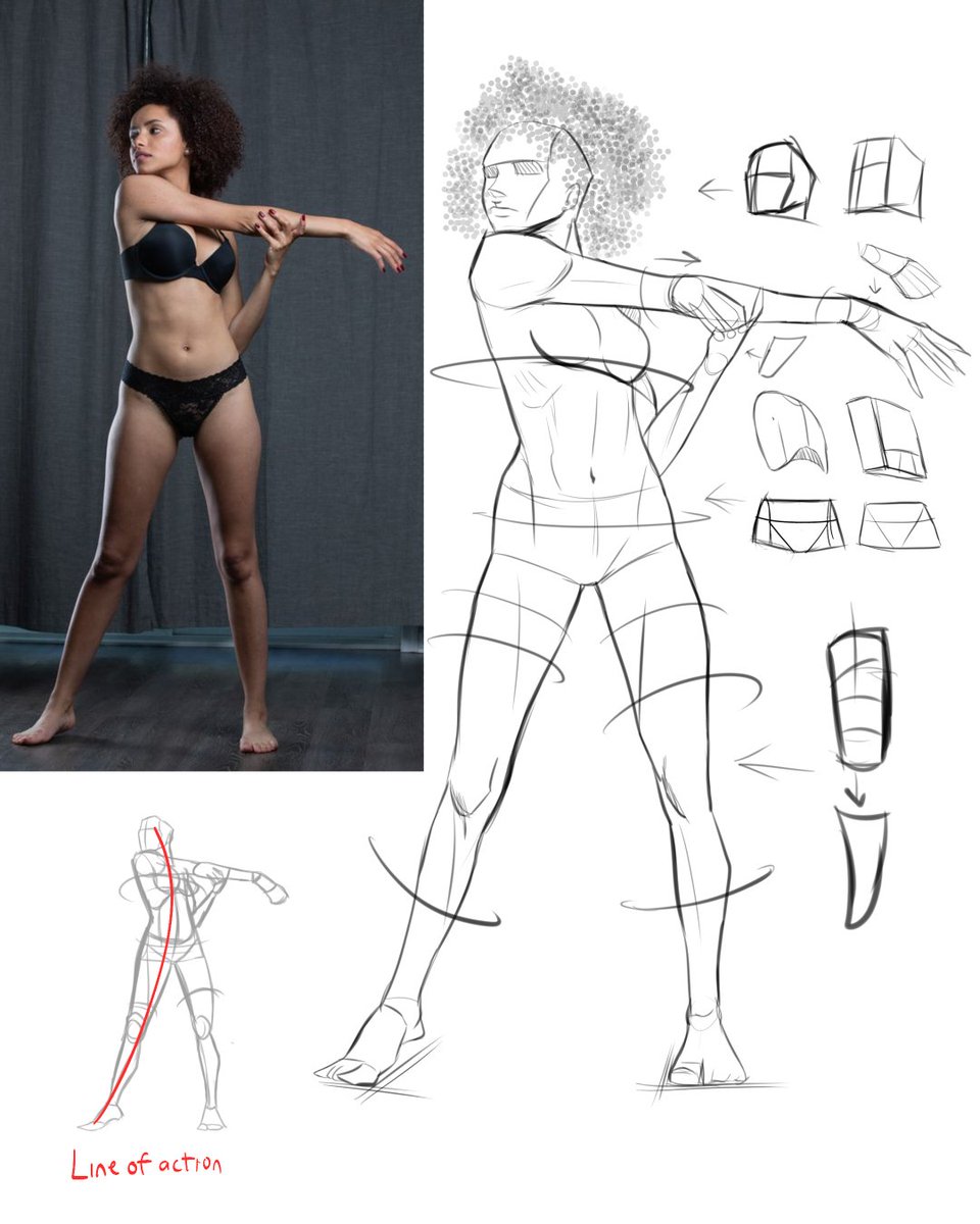 EdArroyo01's tweet photo. Some of the practice sketches I did yesterday 

#digitalart #digitalpainting #digitalillustration #artpractices #study #sketch #sketchbody #body #humanbody #woman https://t.co/2yTq7gKKNe