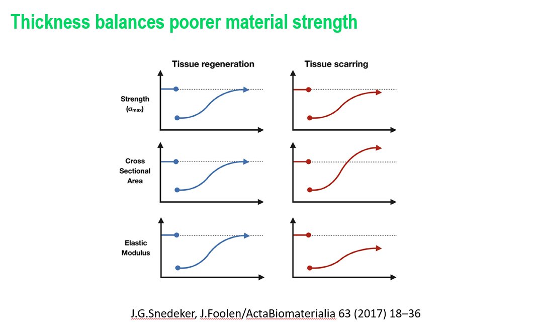 Is serial ultrasound imaging necessary in tendinopathy? 

Of course it is not necessary, but I want to argue it is definitely interesting and also possibly quite important.

You can read my thoughts here: linkedin.com/posts/petermal…