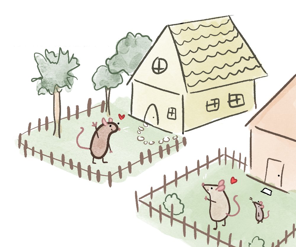 Day 22 - the rat next door
they are in love but they dont know it
#rattober2025 #rats