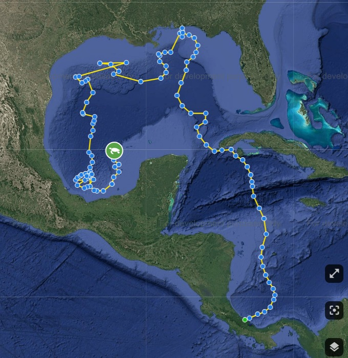 conserveturtles's tweet photo. Check out who's CRUSHING the competition! Leatherback turtle Crush has traveled an astounding 4,414 miles since nesting in Panama this May and is currently in 1st place in the Leatherback Tour de Turtles! Follow all the turtles at https://t.co/22TlCOH79L #tourdeturtles https://t.co/xSqIRoLrAL