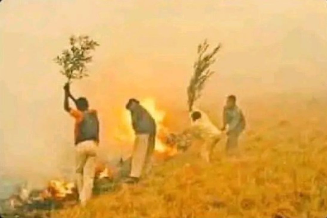 Real Madrid vs Juventus.
GG 😂💔