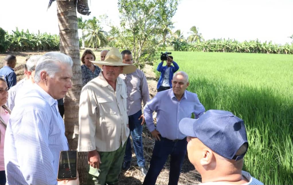 Alcanzar el autoabastecimiento de arroz es una necesidad a la que tributan varias acciones, pero la voluntad y el trabajo de los productores es imprescindible. Sobre esto conversamos con Frank Michel Becerra, asociado a la CCS Sergio González del cienfueguero #AguaDePasajeros.