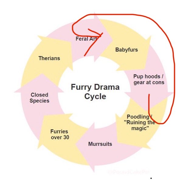 Opos📹➡️FD tweet media