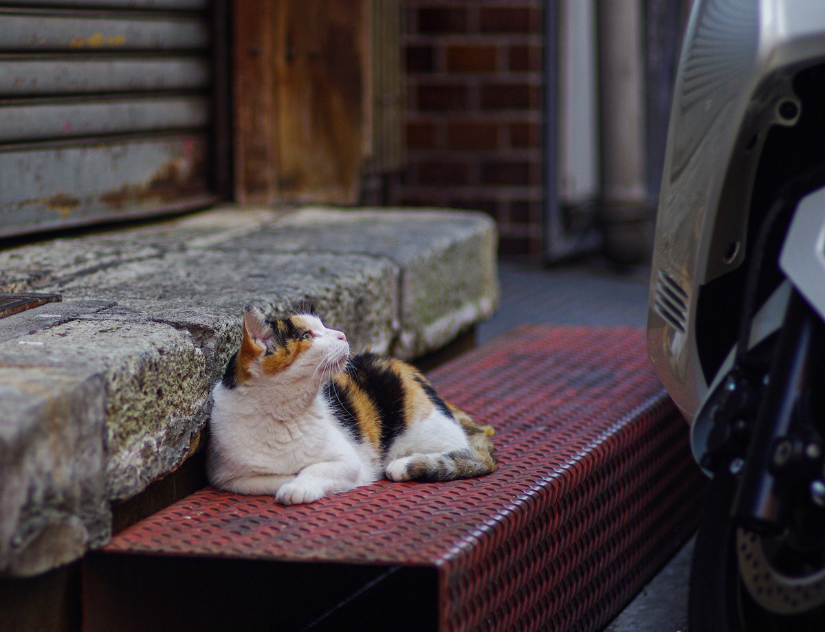 おはよう木曜日