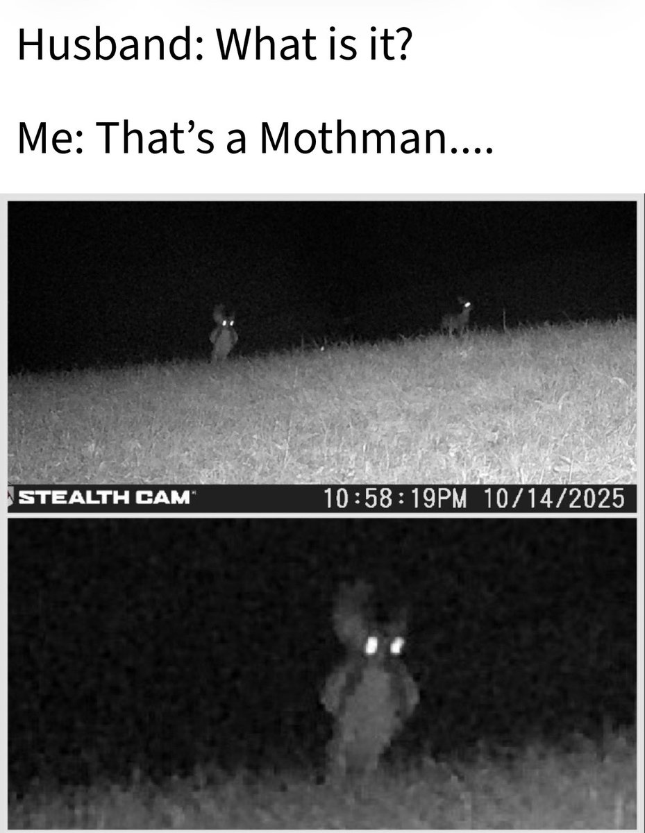 I made a meme for my husband with his trail cam pics.