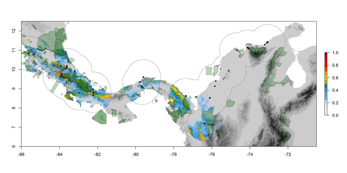 Nueva oportunidad para trabajar con SELVA - estamos buscando alguien con excelentes habilidades analiticas para trabajar en el proyecto Corredor Neotropical de Migración. ¿Te gusta la migración de aves además de correr modelos en R? Esto puede ser para ti selva.org.co/trabajar-con-s…