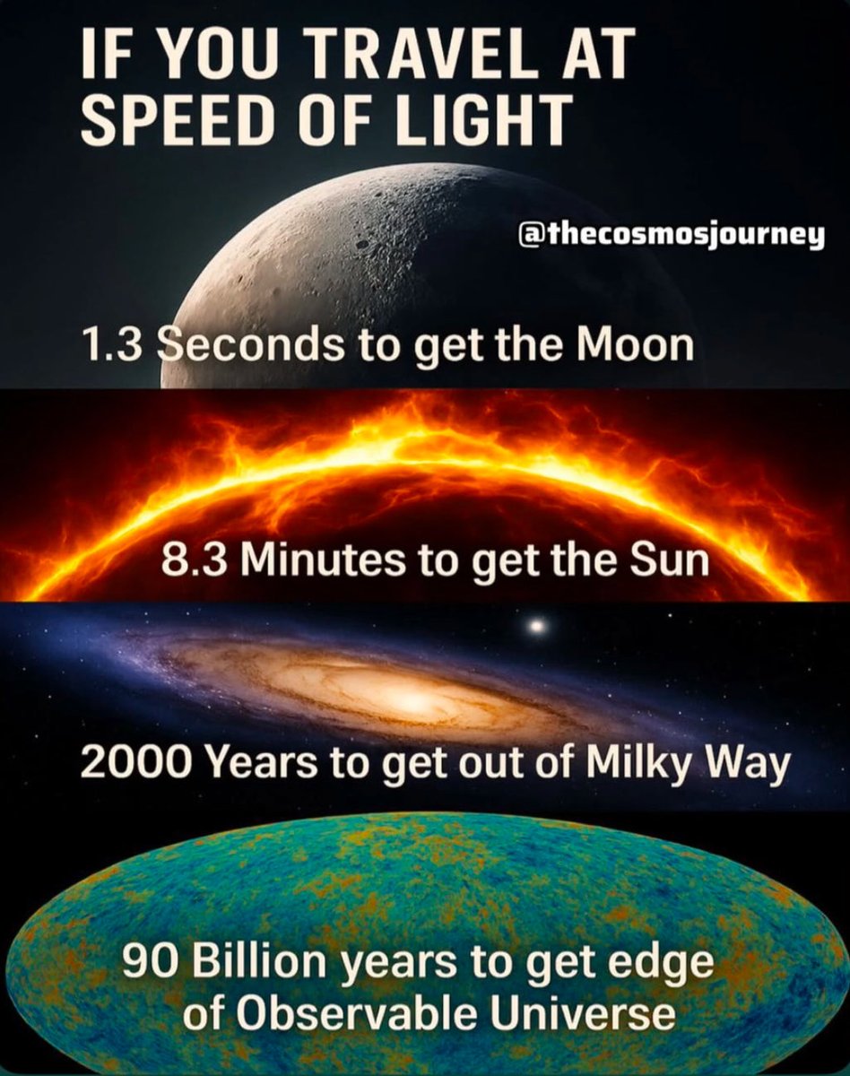 Anna Paulina Luna tweet media