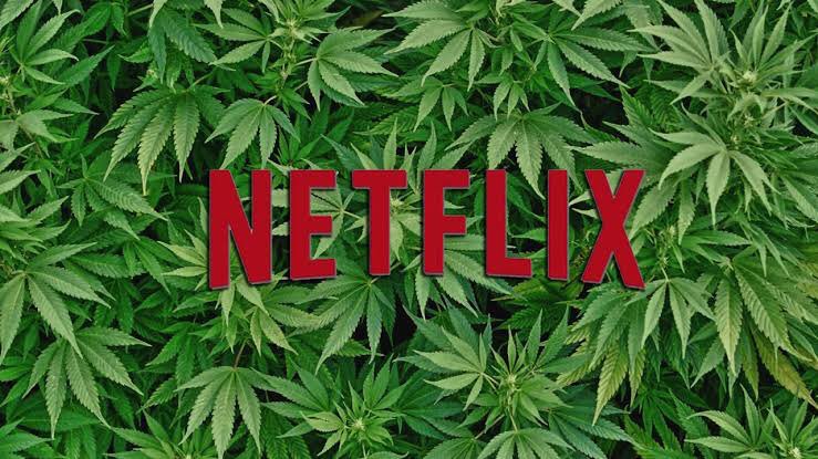 Indicações de filmes e series pra ver chapado, segue a thread 🧵