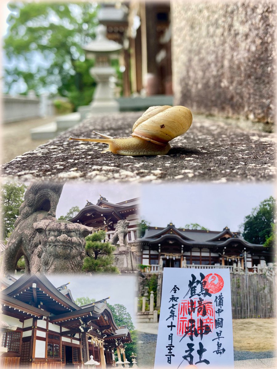 鶴崎神社⛩️　岡山県早島町

〜 季節違いの小さな使者 〜

でーんでん ♪  
　むしむし ♫  
　　かぁーたつむりぃ 🐌  

秋雨に  
　名残りある
　　　季の余白

#神社仏閣