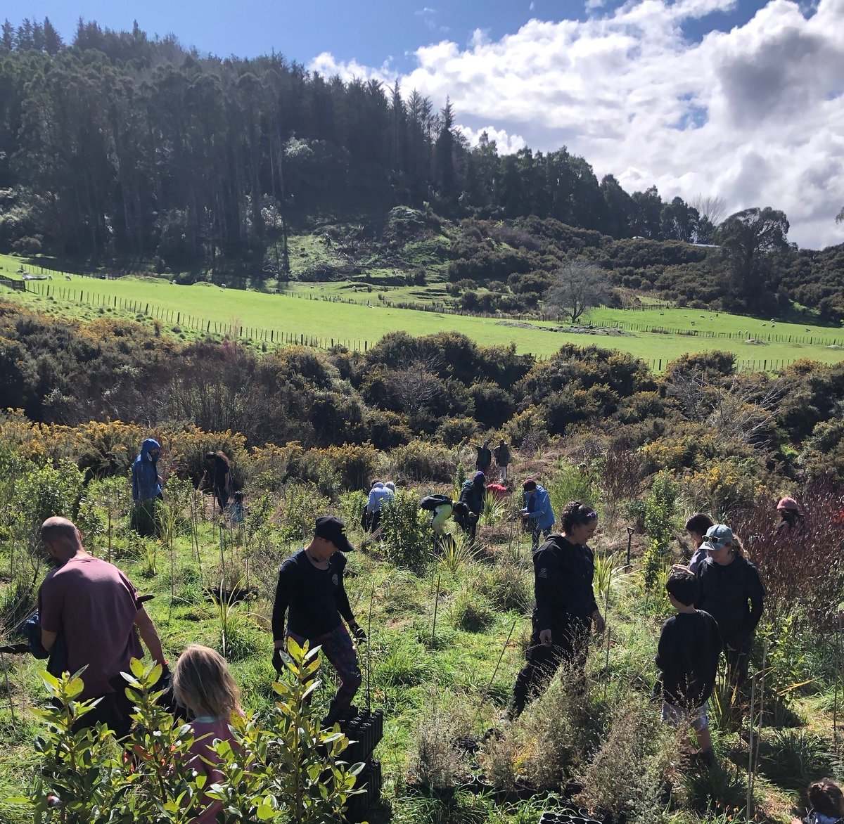 BiomeTrust's tweet image. We’re honoured to walk alongside our friends at the #learningenvironment, whose mahi at Pīwaiwaka Farm in Whanganui continues to nurture deep connection between people and whenua.

View their newly released Annual Impact Story (April 2024 - June 2025) at
learningenvironment.nz/impact