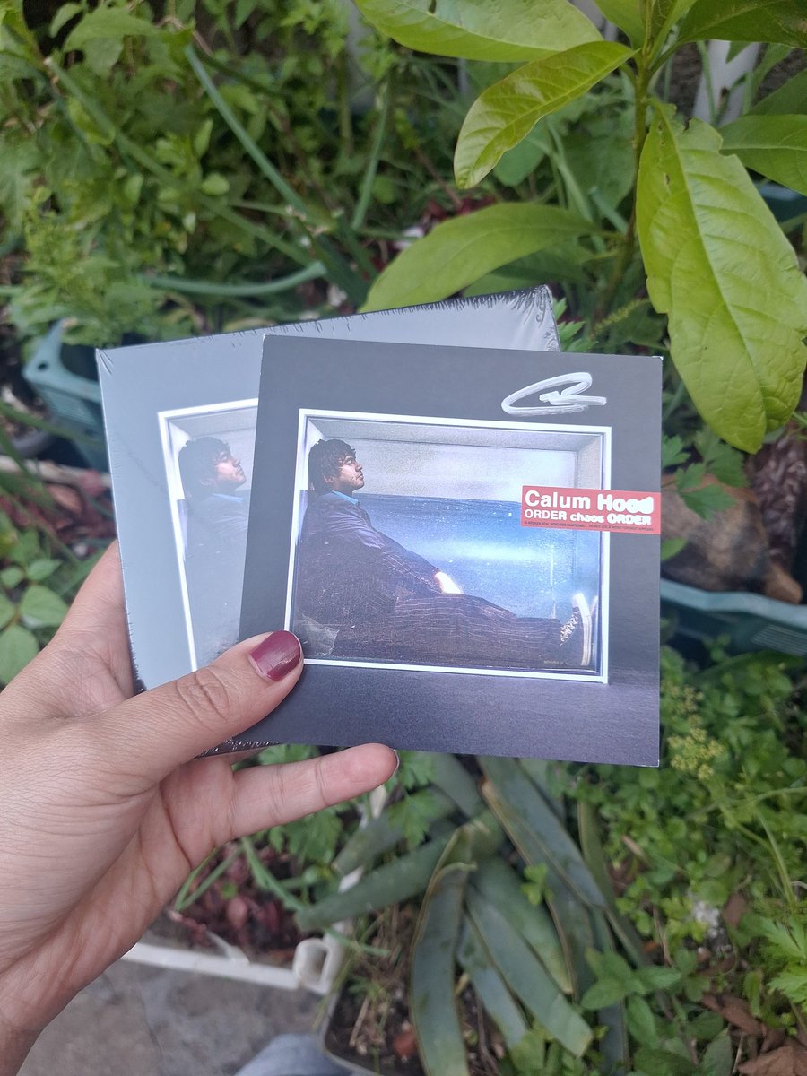 MDS EU TÔ CHORANDO!!! <a href="/Calum5SOS/">Calum Hood</a>