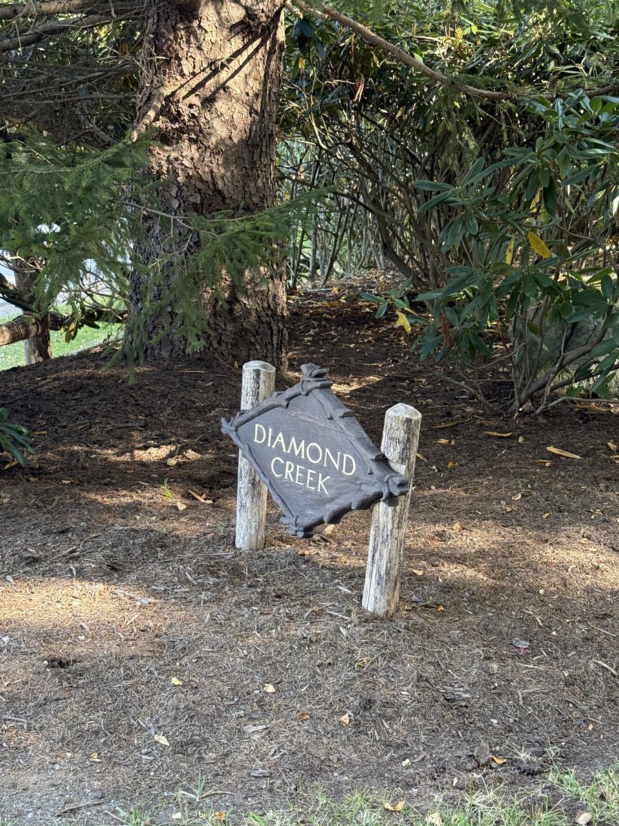 DavidGiesII's tweet image. Diamond Creek
Banner Elk, NC