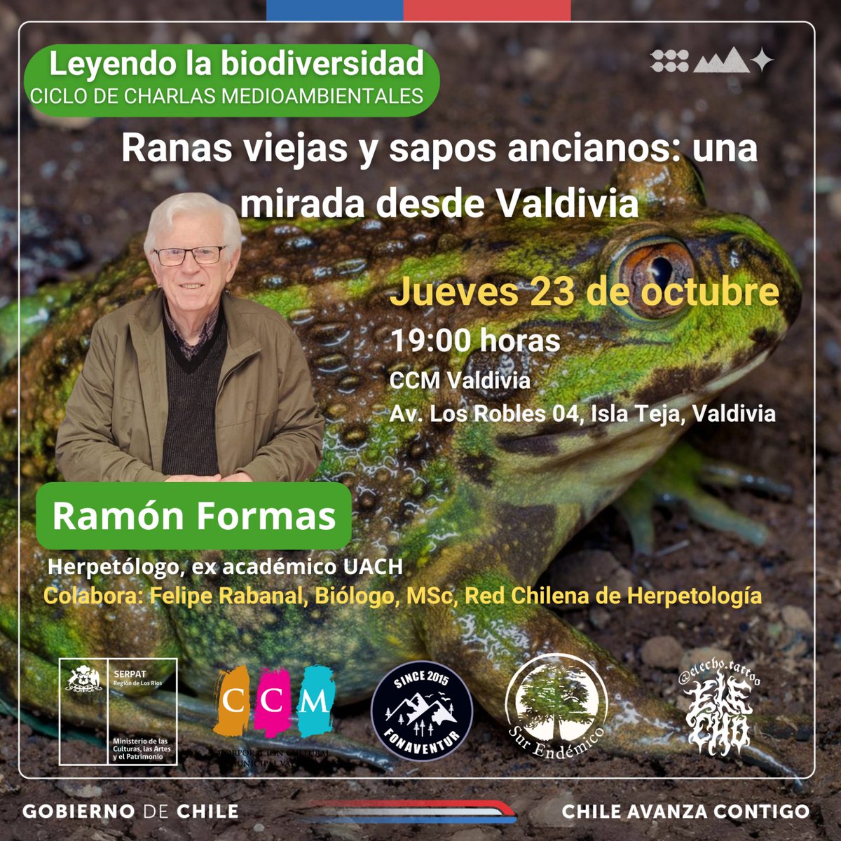 Red Bibliotecas Públicas Los Ríos tweet media