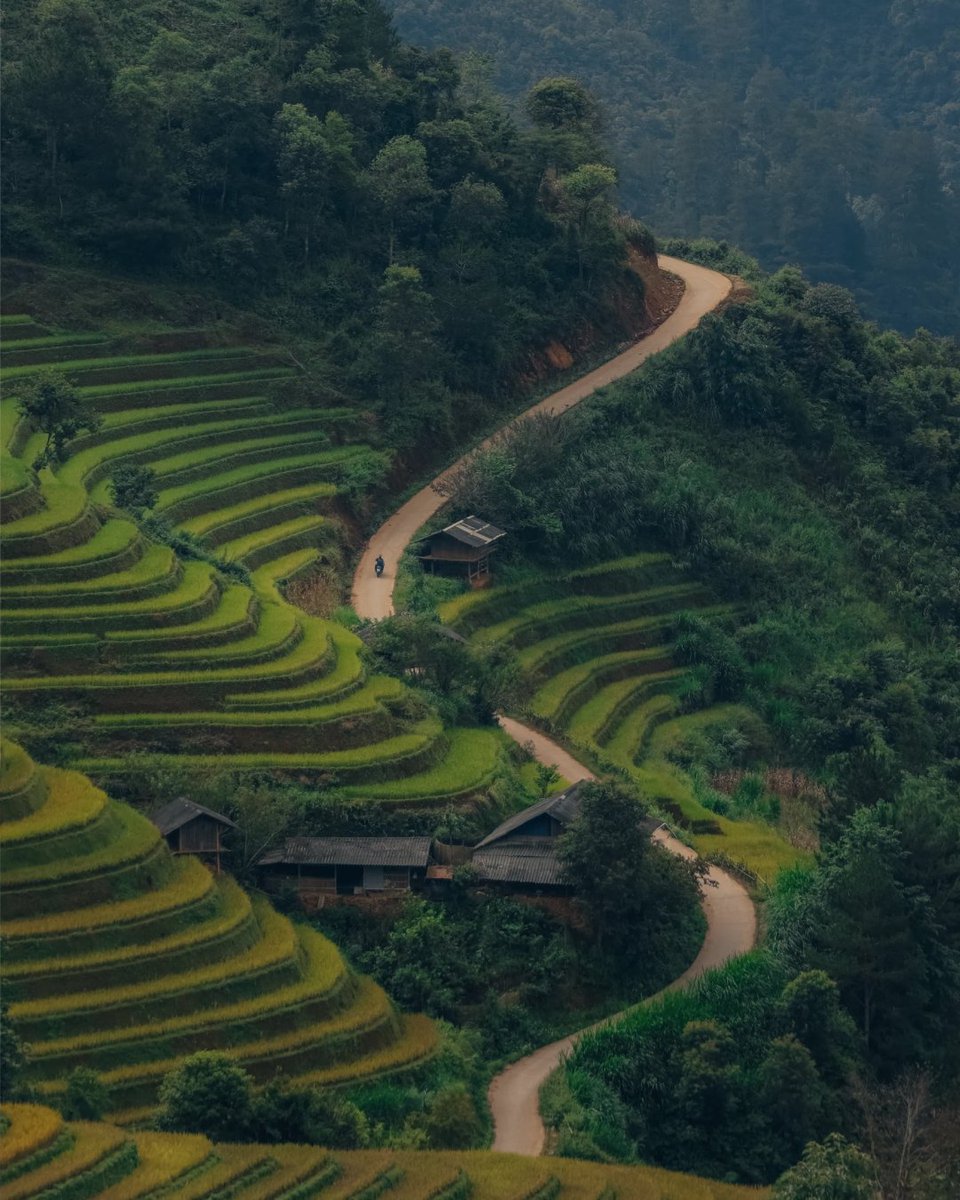 Behance's tweet image. Snapshots from Marina Weishaupt's travels across northern Vietnam. 

See more photography projects by Marina and hire her for freelance projects on #Behance: adobe.ly/47gllwM