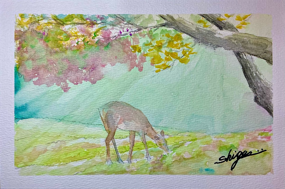 絵画「薄氷の朝の鴨」　水彩画 絵画「薄氷の朝の鴨」 水彩画 【公式通販】