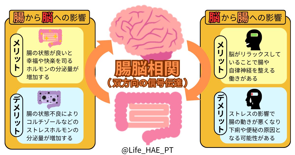 Life_HAE_PT's tweet image. ä»ããã®å£ç¯ã«è² ããªãäœäœãâŠâŠâŠ
ãŸãã¯ïŒè
žãšè³ïŒãæŽããããšð¥