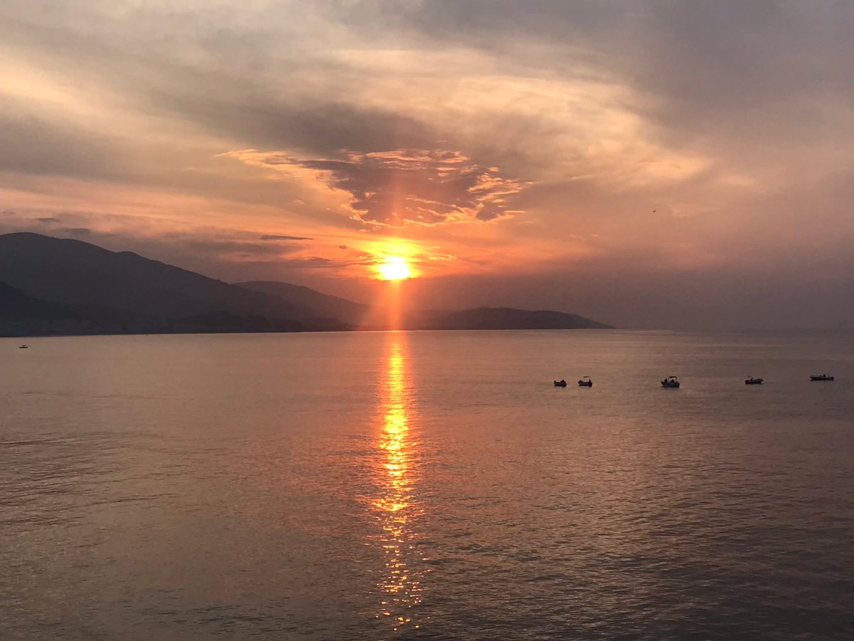 msbalioglu's tweet image. 22.10.25