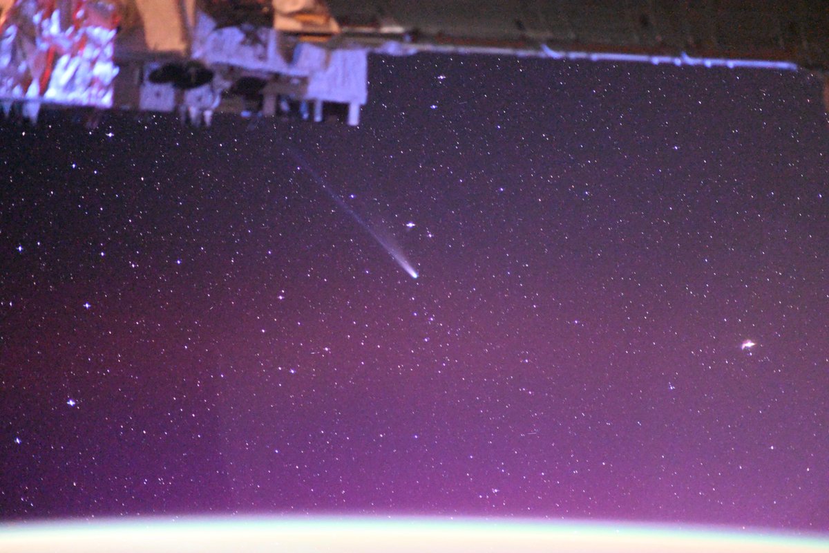 皆さん、おはようございます！
忙しい一日が終わった後、疲れを癒す為に写真を撮る日々が続いています。最近の癒しは、レモンちゃんですかね笑。
「今日はどんな表情を見せてくれるのかなぁ？」などと考えながら窓に向かう時が、デートに向かう時の様な気分で楽しいです。