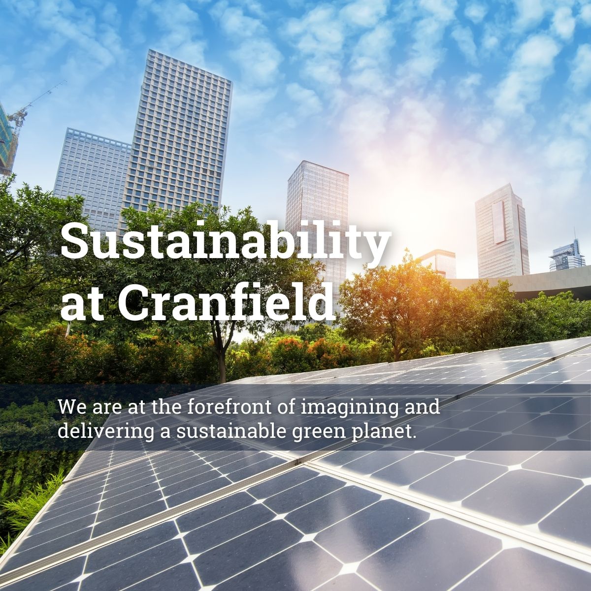 CranfieldEnviro's tweet image. Explore the impact we’re making across the environment to achieve a sustainable future. #SustainabilityAtCranfield 👇
bit.ly/3sL2SI1