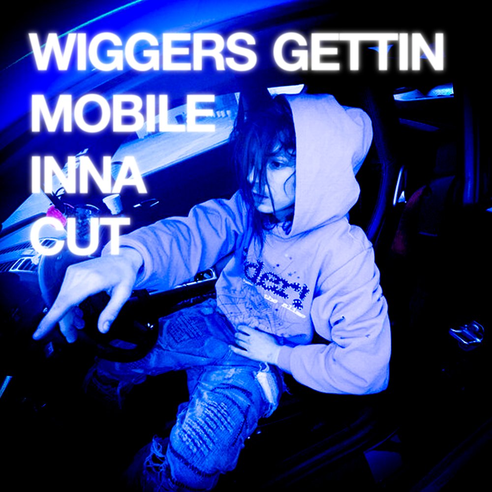 Wiggermute is accumulatin ❄️
Nancy Pelosi's wigger nephew just made da call 👀

Total fuccin victory royale yearme ❗️🦍🥶