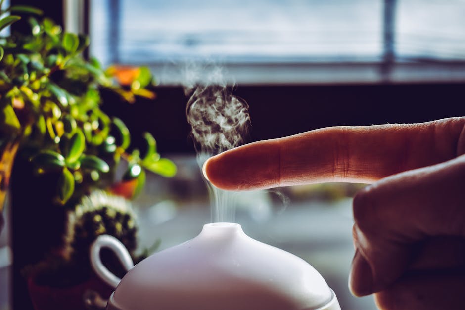 Wellness Wednesday Tip: Take out the humidifier. Cold, dry air can cause respiratory ailments like sinusitis and nosebleeds. Try using a humidifier to improve breathing and moisten your nasal passages.