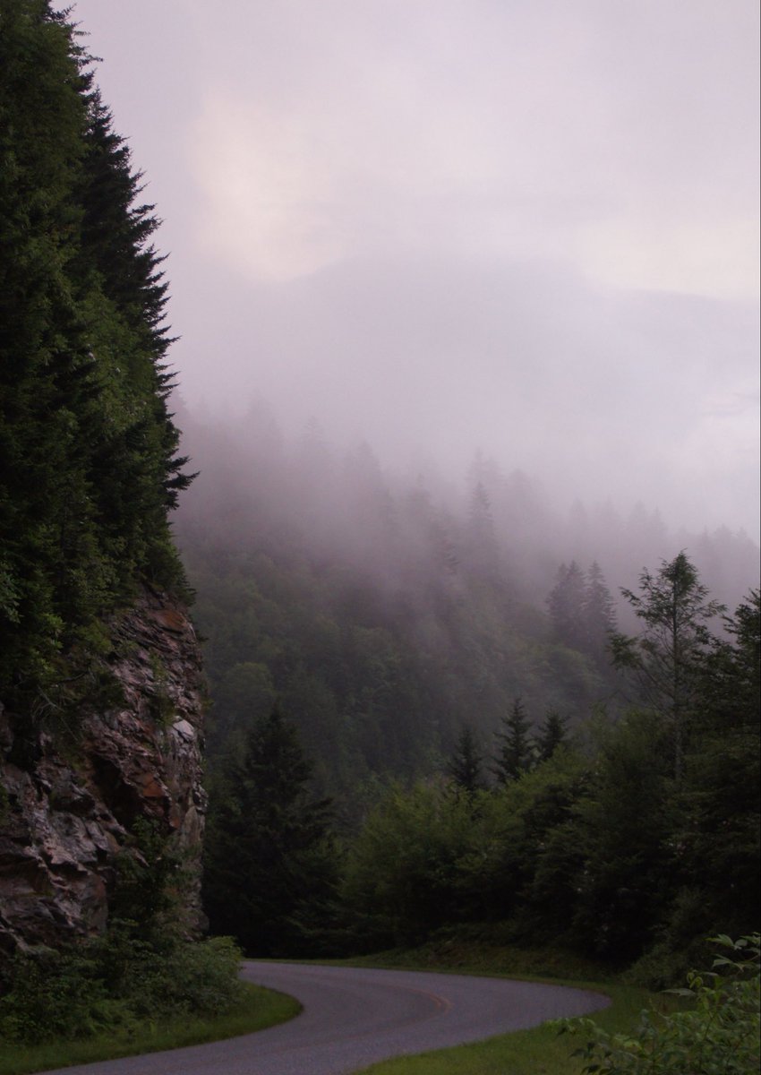 your eyes on the road, my eyes on you