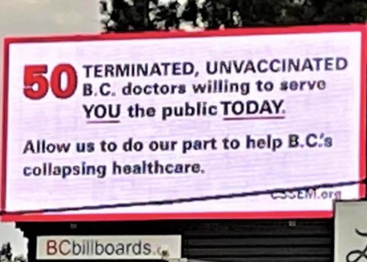 Michelle Ferguson tweet media