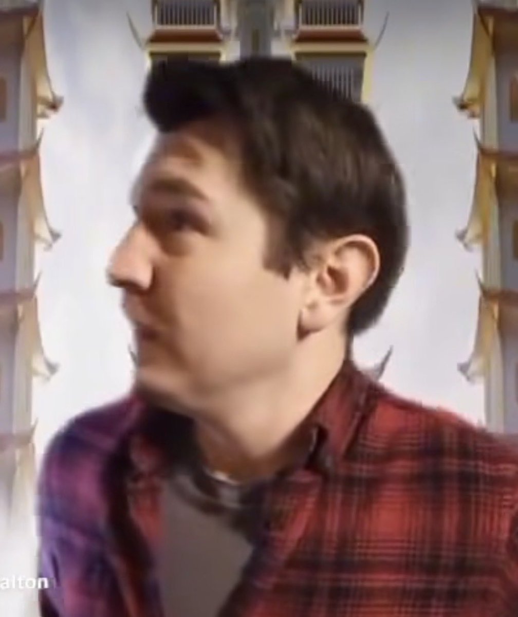 bought a copy of donkey kong bananza off temu and