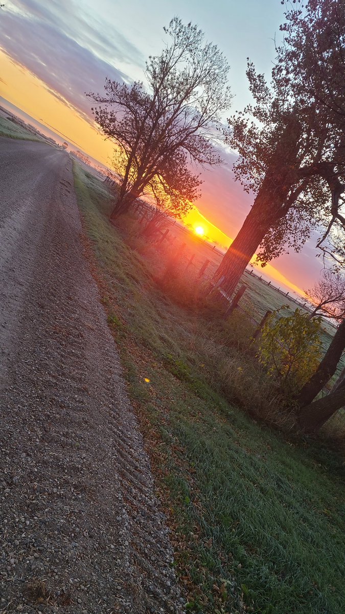JohnOnLake (@johnsperry6) on Twitter photo Sunrise on the farm 🚜 🐫. 
I hope that you had a wonderful day 💗 💛 🇺🇸  💋 Sunrise on the farm 🚜 🐫. 
I hope that you had a wonderful day 💗 💛 🇺🇸  💋