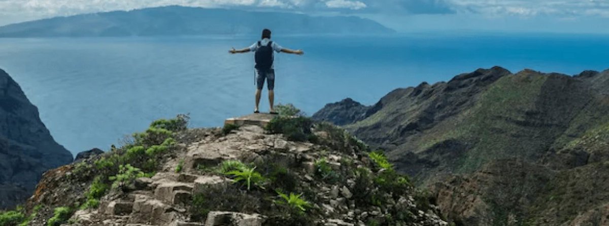 ArmaSkin tweet media