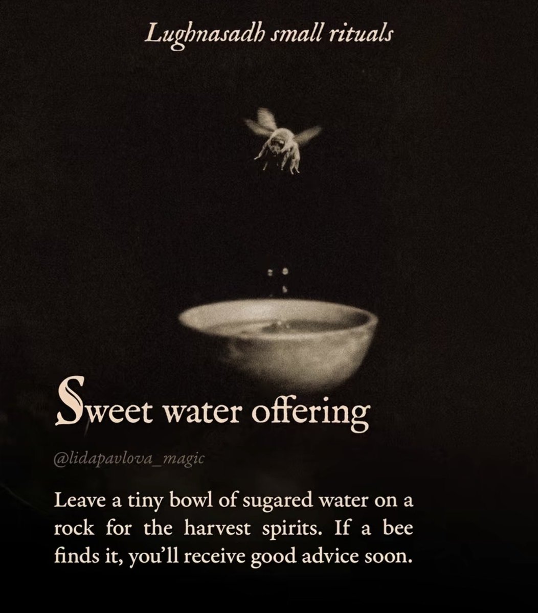 BethH_persist's tweet image. Couple of activities that require little exertion.
I hope others appreciate when #pwLC leave a message, comment or share. We are giving our life force to share.
We are burning fuel we are already low on.
Appreciate it, appreciate all of it🙏
I imagine these from bed❤️🩹✊🏼