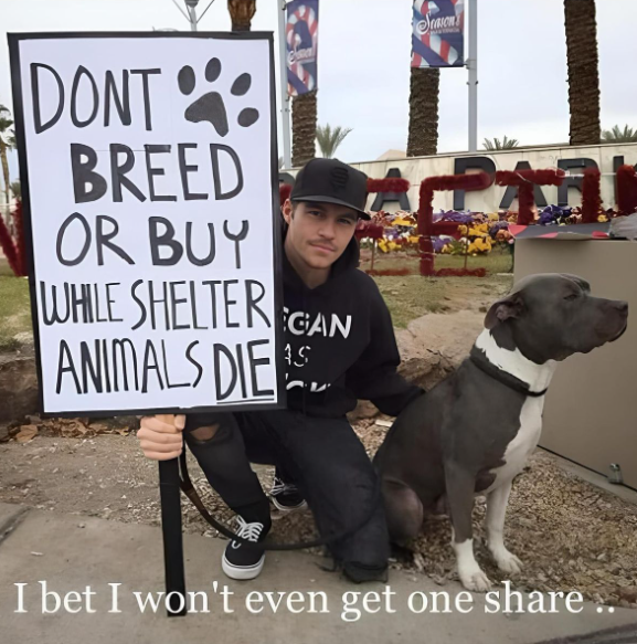 Beyond The Leash (@beyond_theleash) on Twitter photo 